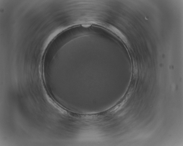 X0000073860958200608170939