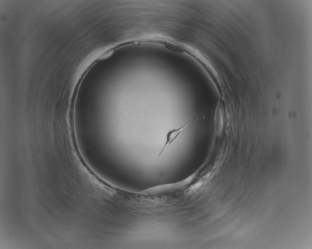 X0000073860959200608170939