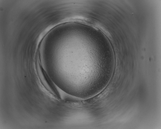 X0000073860960200608170939