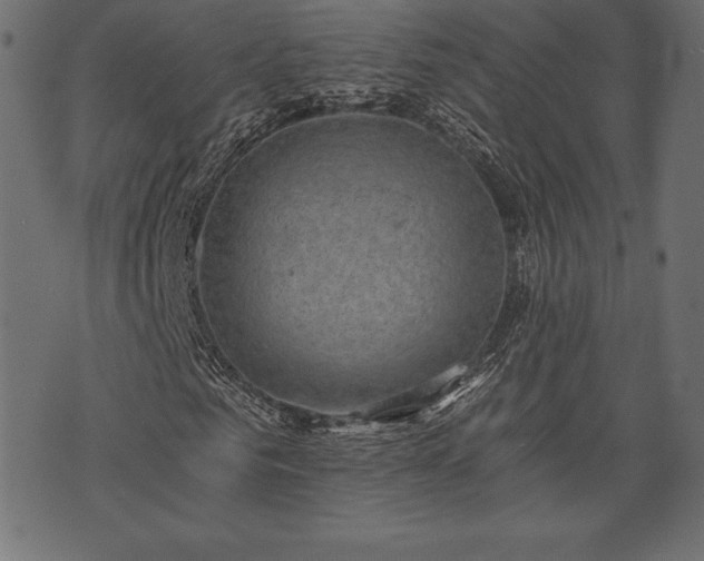 X0000073860961200608170938