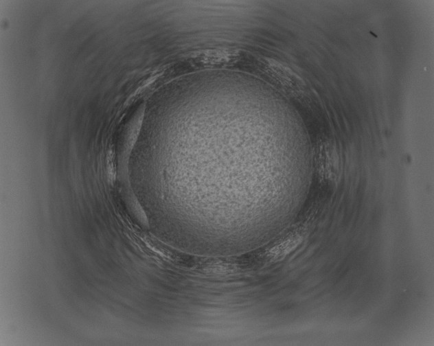 X0000073860962200608170938