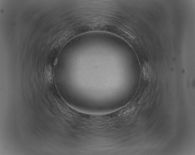 X0000073860963200608170938