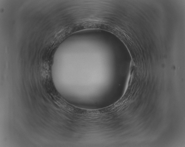 X0000073860964200608170938