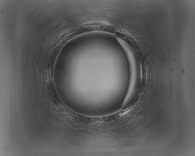 X0000073860965200608170938