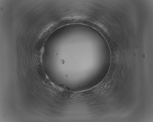 X0000073860967200608170938