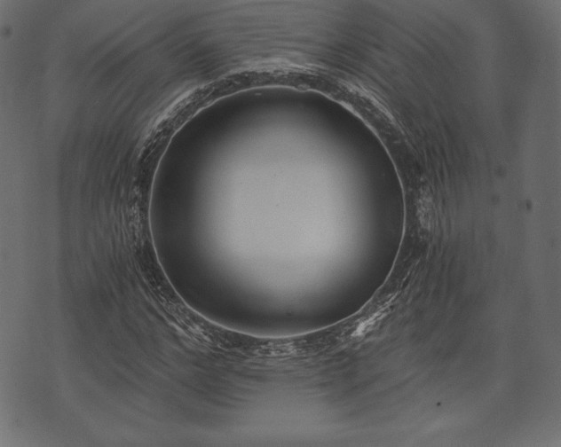 X0000073860968200608170938