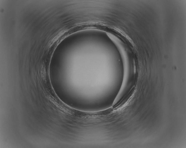 X0000073860969200608170938