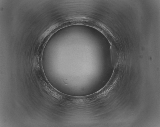 X0000073860970200608170938