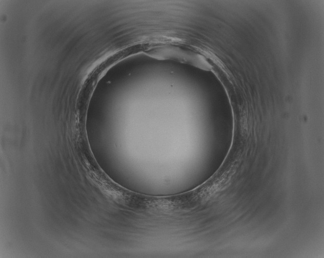 X0000073860971200608170938