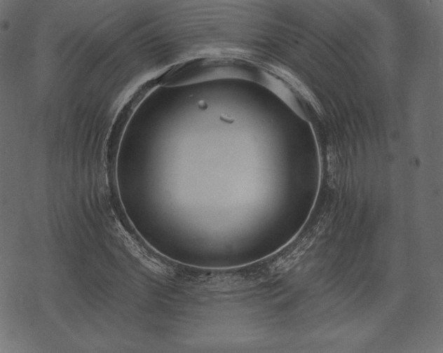 X0000073860972200608170938