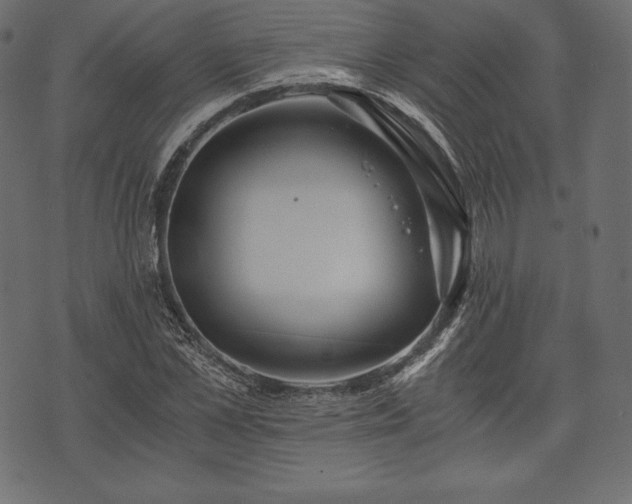 X0000073860973200608170938