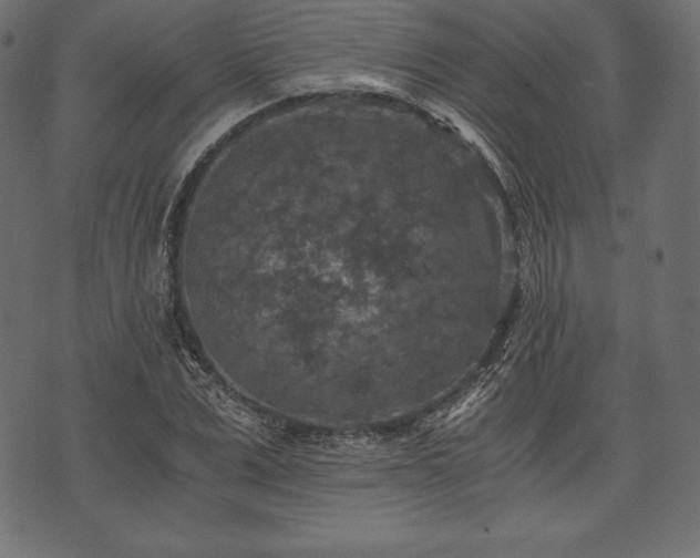 X0000073860975200608170938