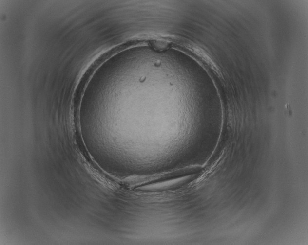 X0000073860976200608170938