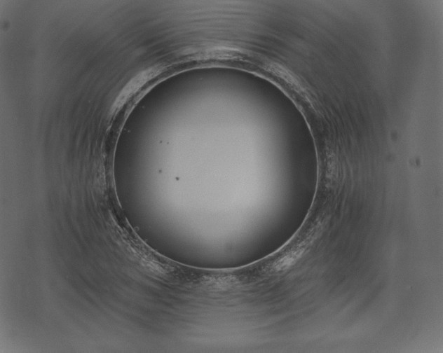 X0000073860978200608170938