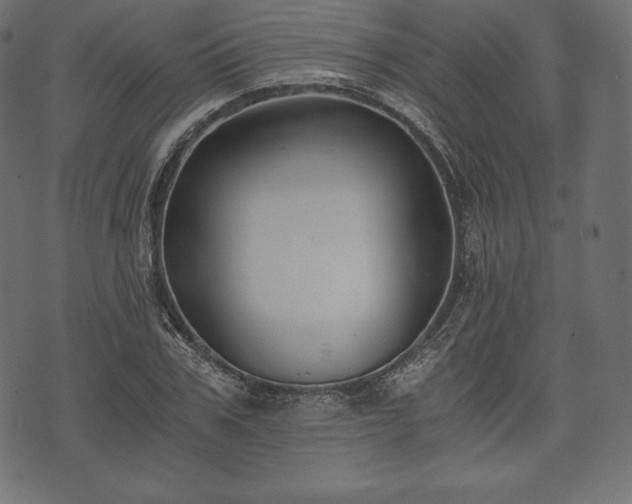 X0000073860979200608170938