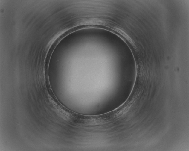 X0000073860980200608170938