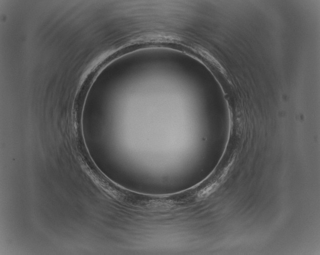 X0000073860981200608170938