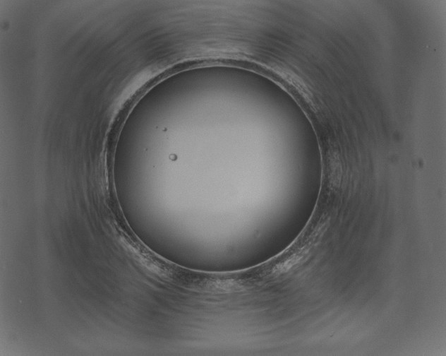 X0000073860982200608170938