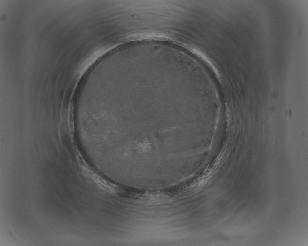 X0000073860983200608170938