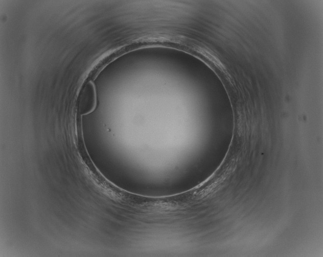 X0000073860984200608170938