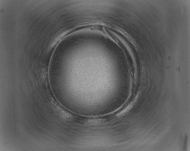 X0000073860985200608170938