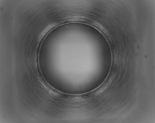 X0000073860986200608170938