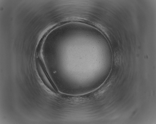 X0000073860987200608170938