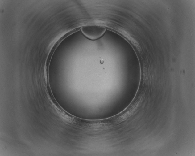 X0000073860988200608170938