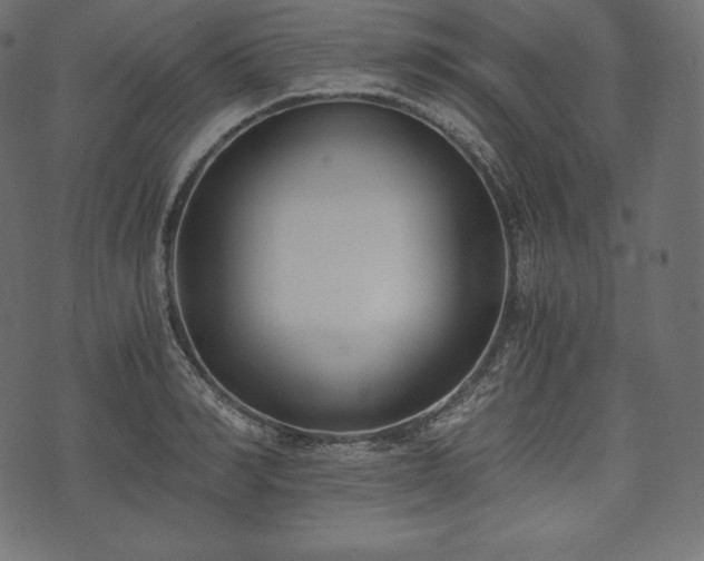 X0000073860990200608170938