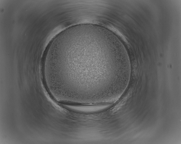 X0000073860991200608170938