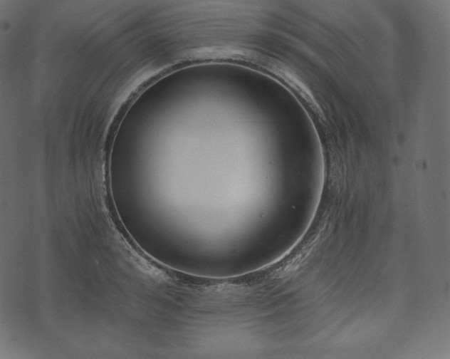 X0000073860992200608170938