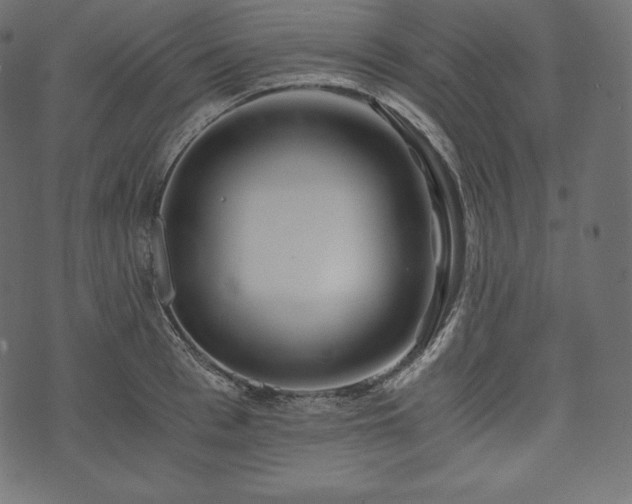 X0000073860993200608170938