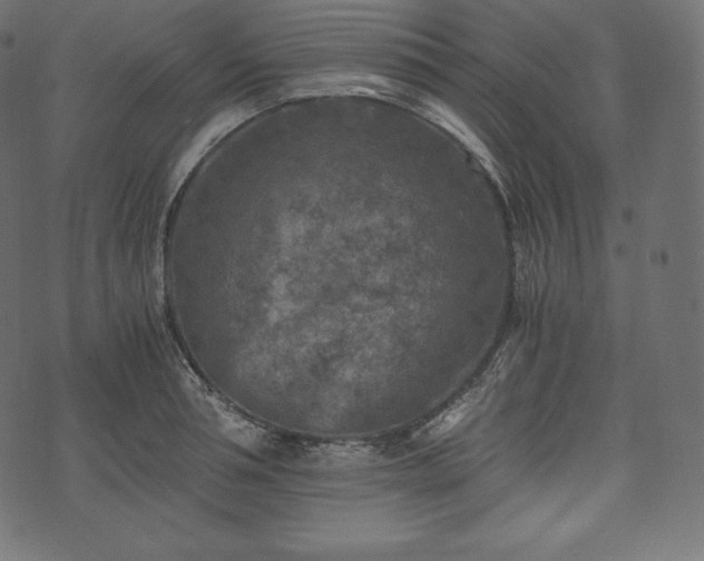 X0000073860994200608170938