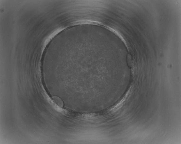 X0000073860995200608170938