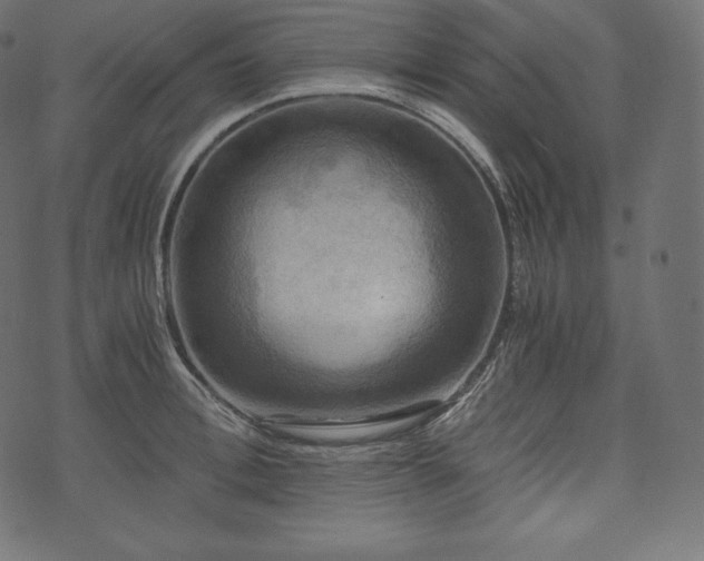 X0000073860996200608170938