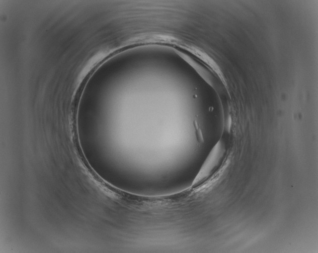 X0000073860997200608170938