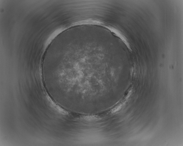 X0000073860998200608170938