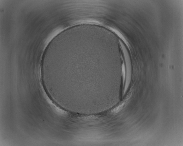 X0000073860999200608170938