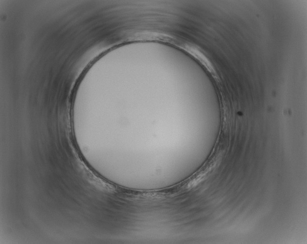 X0000073861000200608170938