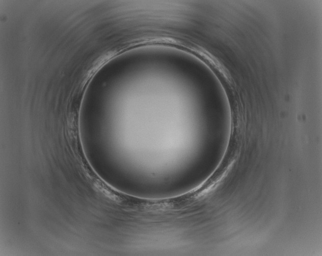 X0000073861001200608170938