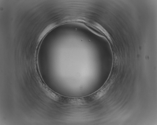 X0000073861002200608170938