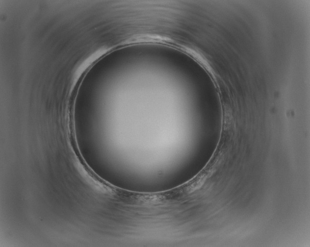 X0000073861003200608170938