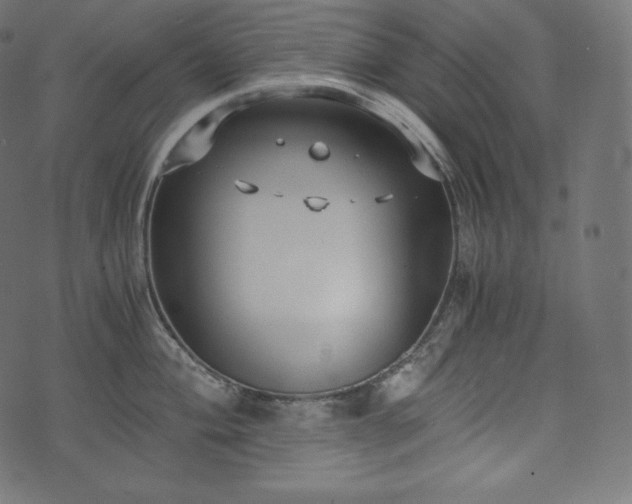 X0000073861004200608170938