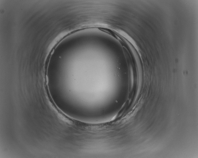 X0000073861005200608170938