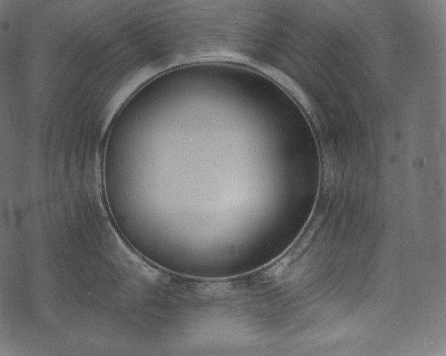 X0000073861006200608170938