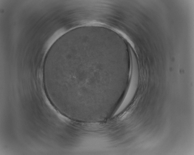 X0000073861007200608170938