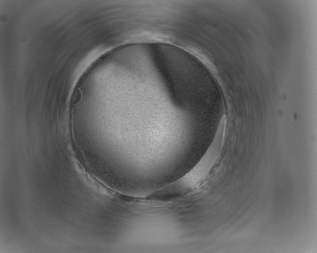 X0000073861008200608170937