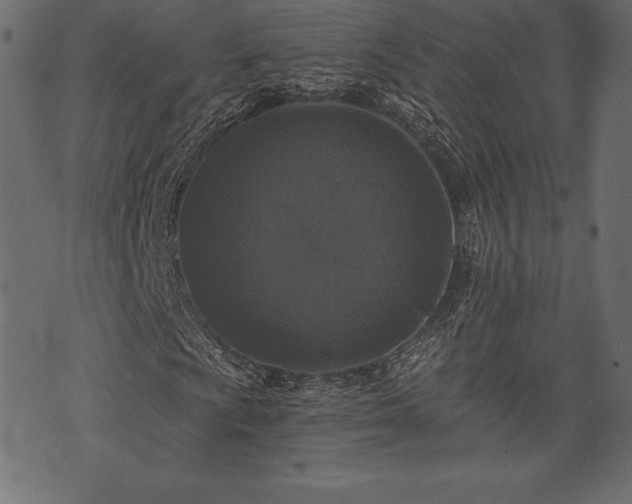 X0000073861009200608170937