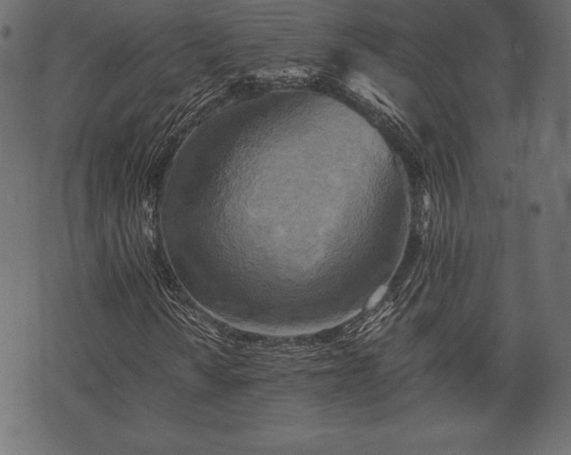 X0000073861010200608170937