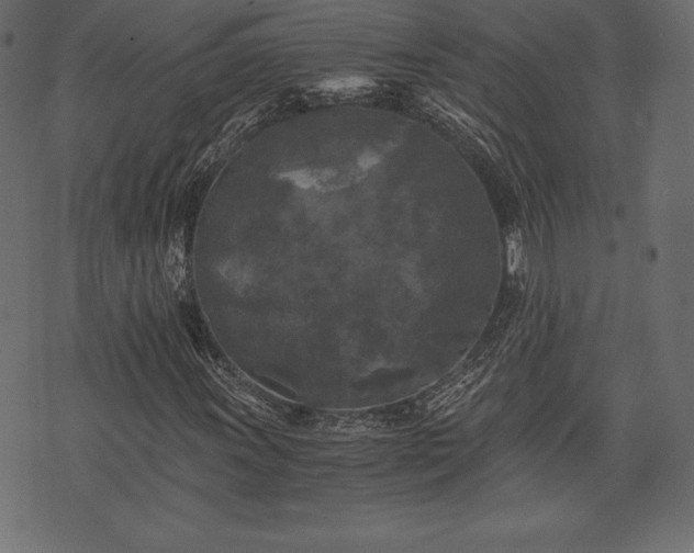 X0000073861011200608170937